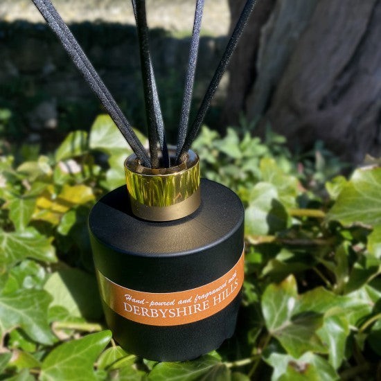 On a Wick and a Prayer black reed diffuser with gold accent and 'Derbyshire Hills' label, surrounded by green ivy.