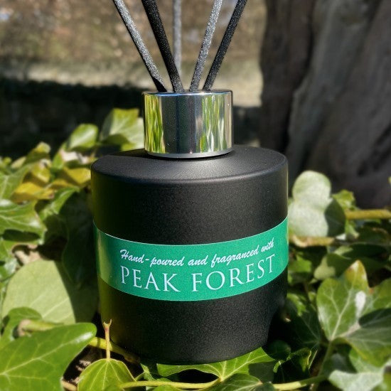 On a Wick and a Prayer black 100ml Peak Forest reed diffuser with silver cap and 6 black reeds, surrounded by green ivy.